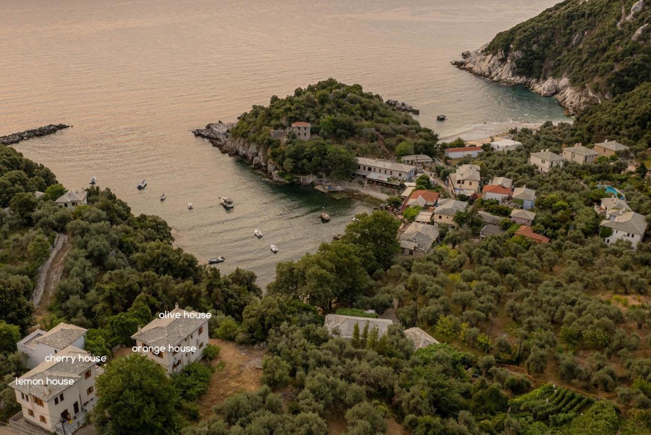 Olive House In Damouchari With A Sea View - Delicious Houses Esterno foto